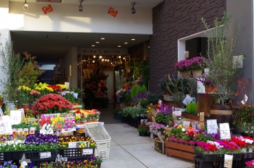 「花松」　（神奈川県横浜市金沢区）の花屋店舗写真2